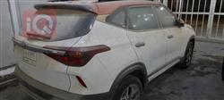 کیا سێلتۆس